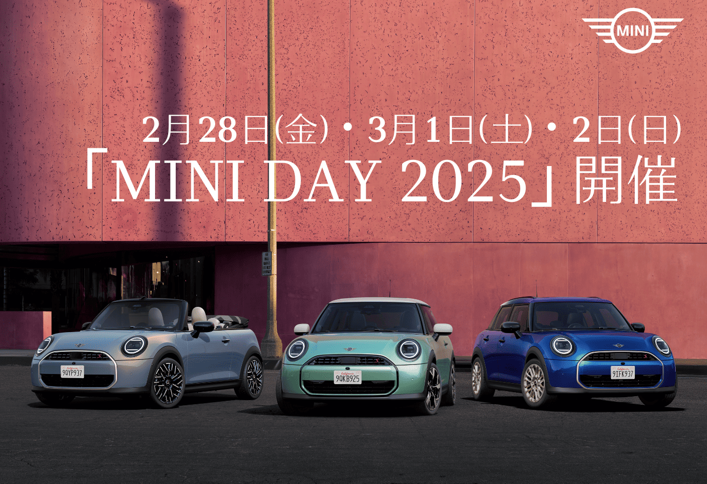 DANA COUNTRYMAN,新品未開封,ソフトロック,ダナ・カントリーマン